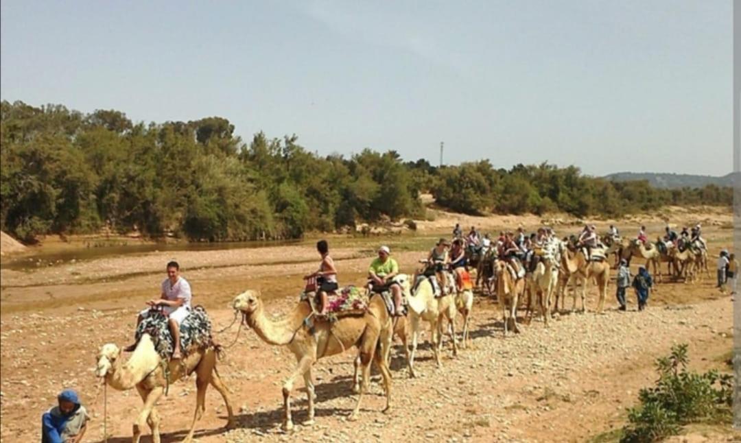 Riad Dar Salam Αγκαντίρ Εξωτερικό φωτογραφία